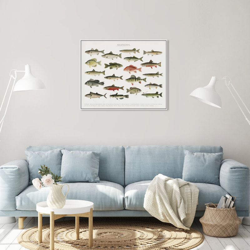" American Fish " Painting Print, White Framed, 36" H x 30" W
