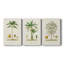 Arbre antique avec fruit II - Toile tendue avec châssis sur mesure - 3 pièces-338447089