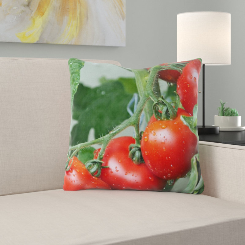 Coussin en tomates