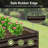 Sacia Metal Outdoor Raised Garden Bed-1180393967-1155303809