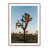 Rustic Walnut Picture Framed