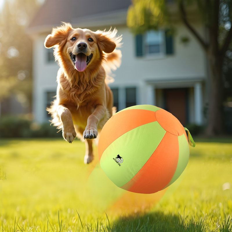 Extérieur - Pawherd Ball 55