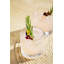 Fluted Handmade Crystal Drinking Glass-702663485