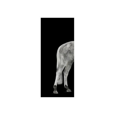 Twilight Cheval I Print by Austin Beiv