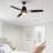 52'' Ceiling Fan with LED Lights-1753146399