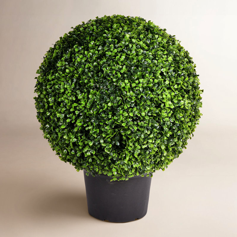 Boule de buis vert artificiel Hillside, H 29 po x l 24 po x P 24 po