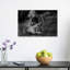 Roaring African Lions Contemporary Wall Art Print 1 Piece Wrapped Canvas Wall Art-440315820