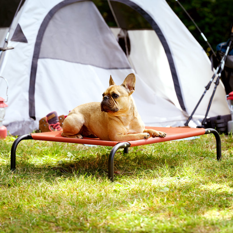 Elevated Cot Pet Bed, 8" H x 25.5" W x 36" D, Red
