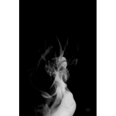 «Smoke IV» par Nathan Larson, photographie sur toile tendue