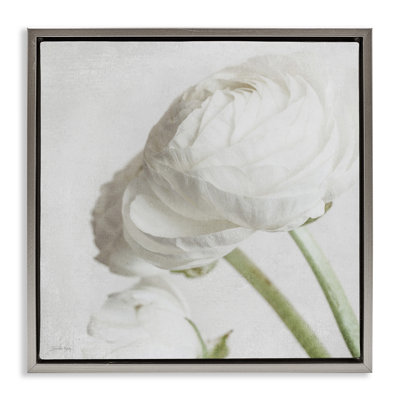 Charmante pivoine blanche encadrée par Jennifer Rigsby