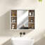 Antar 60cm x 49.4cm Surface Mount Mirror Cabinet