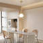 Luminaire suspendu simple 1 lumière