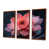 Brown Floater Framed Canvas