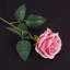 Fleurs artificielles roses en soie, roses à longues tiges réalistes, L 20,5 po, rose cendré, ensemble de 100