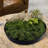 Plastic / Acrylic Tray-15058439-15058440