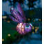 Mini lanterne solaire insecte - libellule