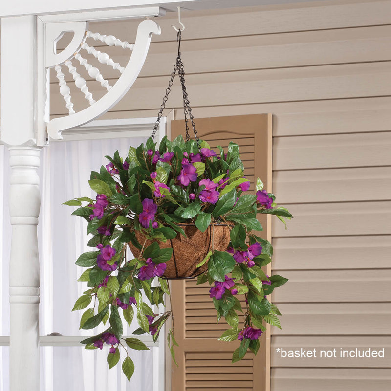 OakRidge Impatiens Hanging Stem, Purple