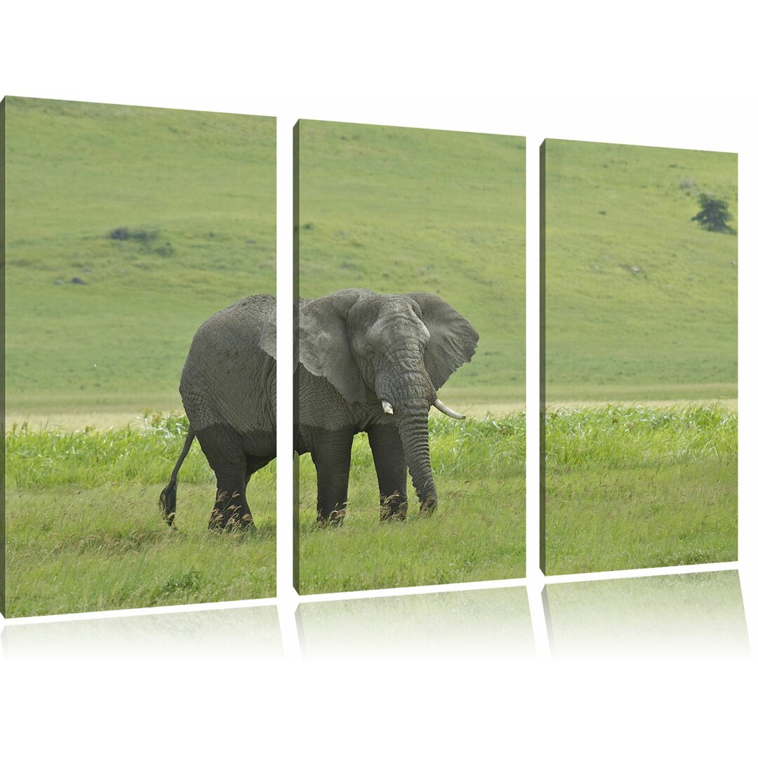 3-tlg. Leinwandbilder-Set „Gigantischer Elefant im Gras“, Fotodruck