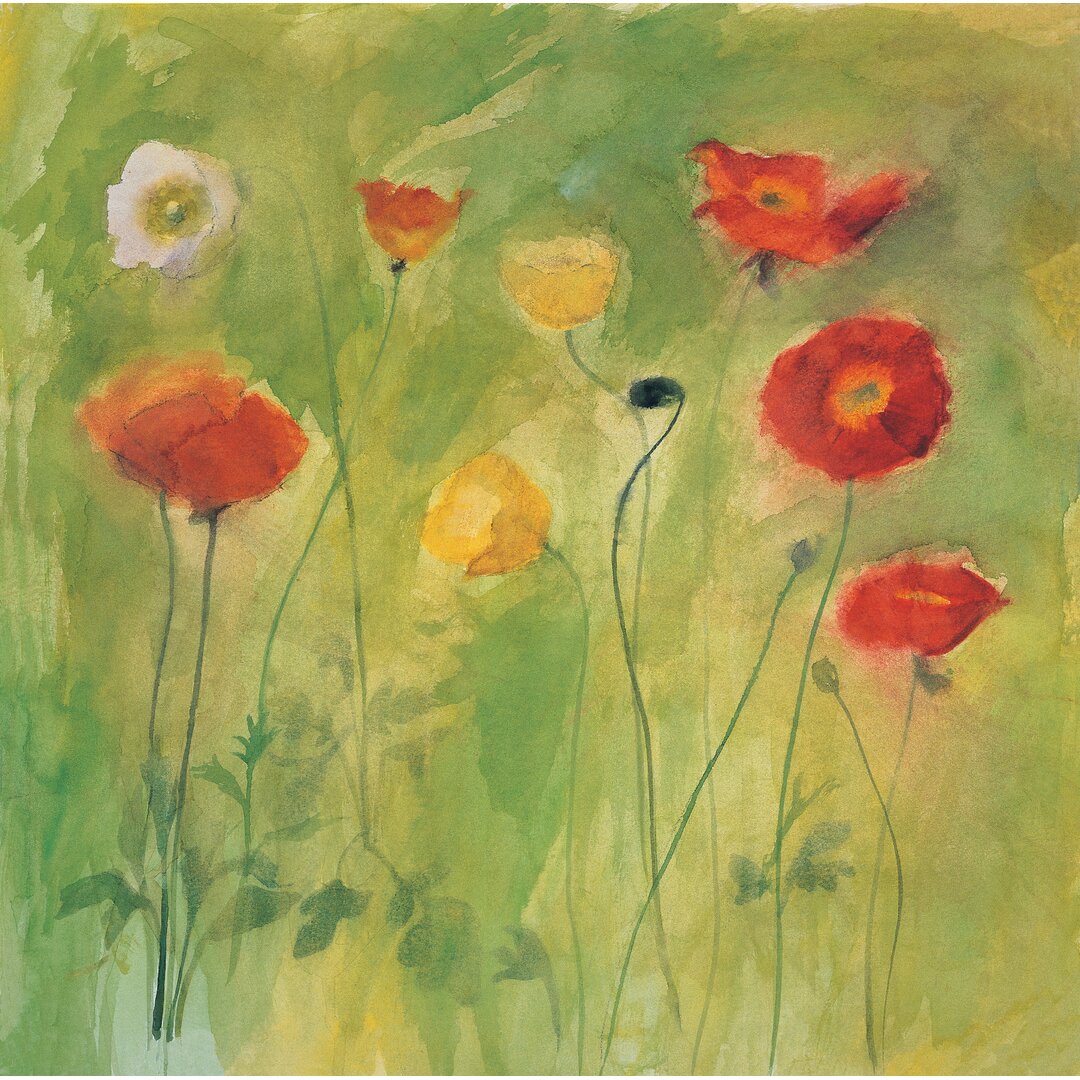 Leinwandbild Poppies in Light Breeze von Michael Clark