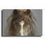 «Ghost Horse» par Lisa Dearing, Meta «Ghost Horse» par Lisa Dearing-886224125