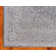 Oriental Indoor Rug