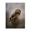Art sur toile Michaela Firesova