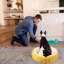 Multicolore Round Pet Mat-131215711
