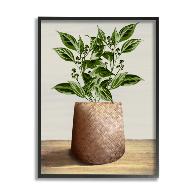 Bb-269 - Plante encadrée en pot tissé sur bois par Marcus Prime, H 20 po x l 16 po x P 1,5 po, Giclée encadrée noir minuit