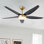 56" 5 - Blade Reversible Ceiling Fan With LED Light and Remote Control