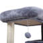Arbre à chat double couche avec maison pour chat et échelle