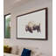 Parvez Taj - Single Picture Frame Print-19701045