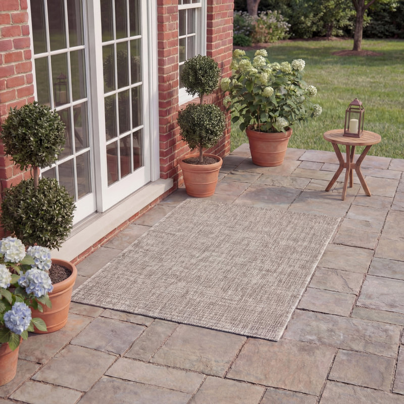 Arneshia Beige/Brown Indoor/Outdoor Area Rug, Rectangle 2' x 3'7"