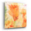 «Windblown Poppies # 2» par Sheila Golden-666822399