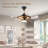 Arleth Ceiling Fan with LED Lights-1738961055