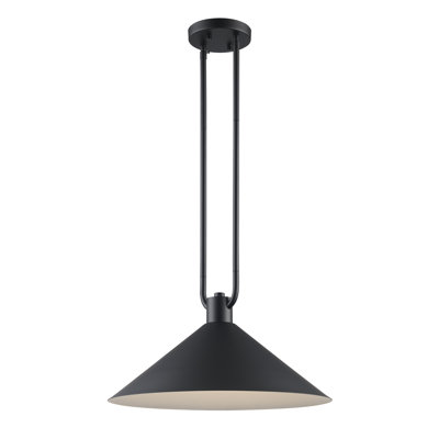 Fayra Industrial Pendant