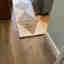 Customer photo 2 of 4