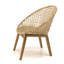 Aadian Upholstered Barrel Chair