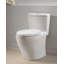 Aquia® Dual-Flush Elongated Bidet Toilet (Seat Included)-17017199