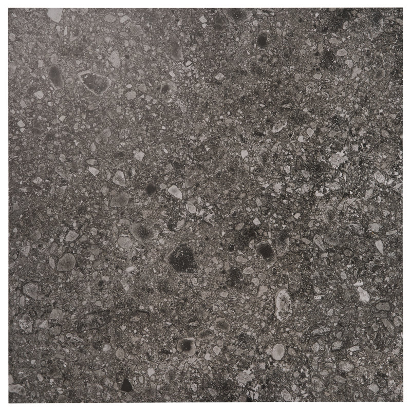 Rizo 48x48 Matte Terrazzo Look Porcelain Tile, Charcoal
