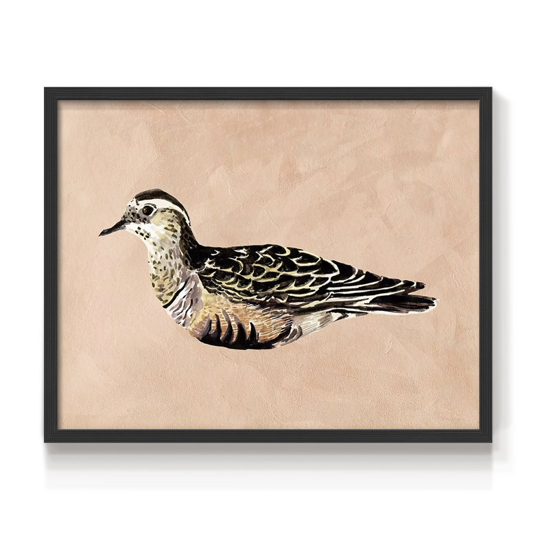 «Feathered Friend III», reproduction encadrée, H 16 po x l 20 po, Noir, noir, noir, noir