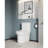1.1/1.6 GPF Elongated Comfort Height Floor Mounted One-Piece Toilet, CUPC Certified, Watersense Cetified, Ceramic, White Color, Soft Close Seat