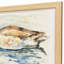 Water Duck Non-Glass Framed Art