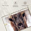 «Frosty Bison», 3 pièces sur toile-98562480