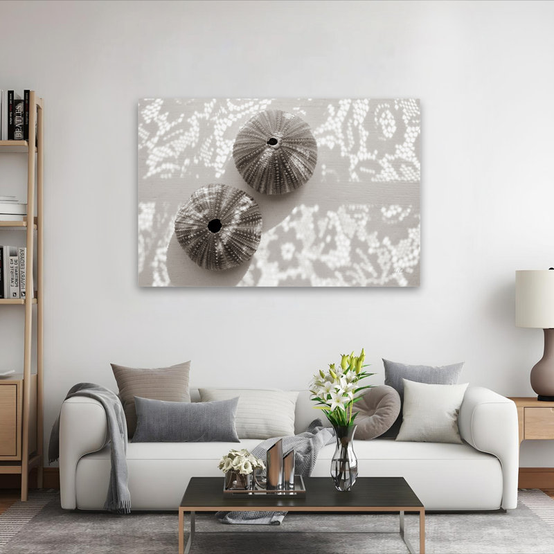Oursins en dentelle I Photographie contemporaine en noir et blanc, H 60 po x l 40 po