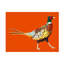 Bolog Strutting Pheasant On Orange On Canvas by Alice Straker Print
