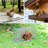 Floridor Weather Resistant Mouse Cage