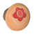 Or / orange est en rupture de stock