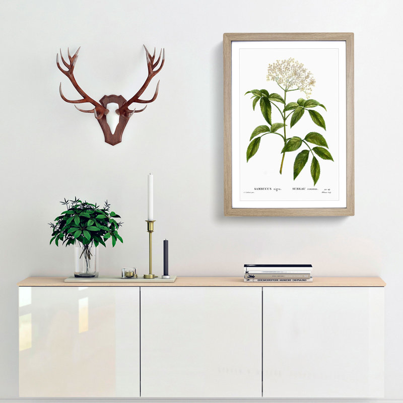 Elderflower Tree by Pierre-Joseph Redoute - Picture Frame Painting Print, Oak Framed, 65cm H x 48cm W x 2cm D