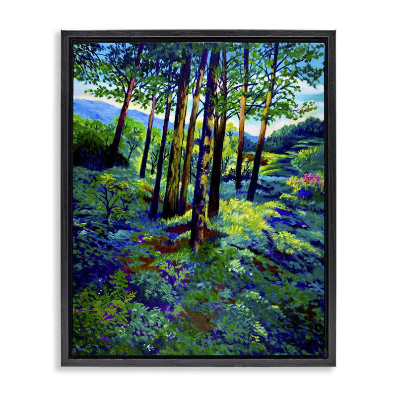 Cadre flottant Blue Ridge Mountain Breezes, design par Lee Ann Zirbes, Cadre flottant noir de jais, H 21 po x l 17 po
