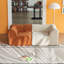 Canapé modulaire modulaire, canapé en tissu de velours compressé avec housses amovibles, canapé d'angle en forme de L pour le salon, conception moderne à blocs de couleur, assemblage facile, canapé modulaire